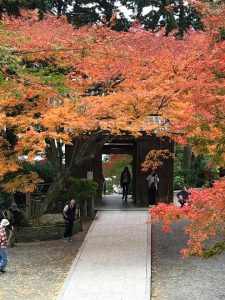 佐賀県基山町の大興善寺