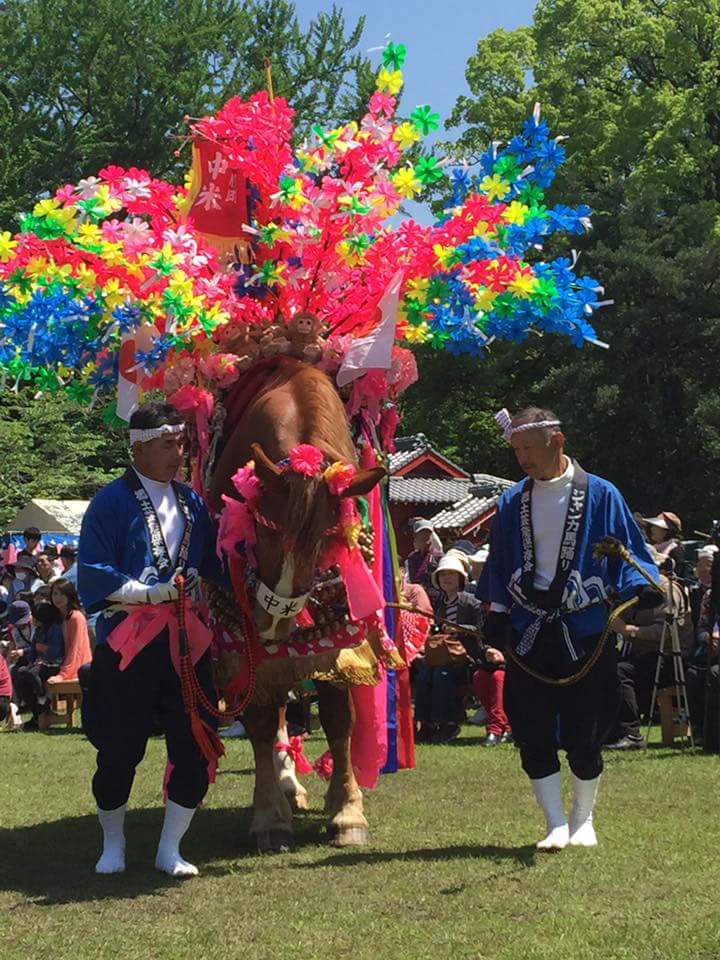 4月29日は早馬祭り