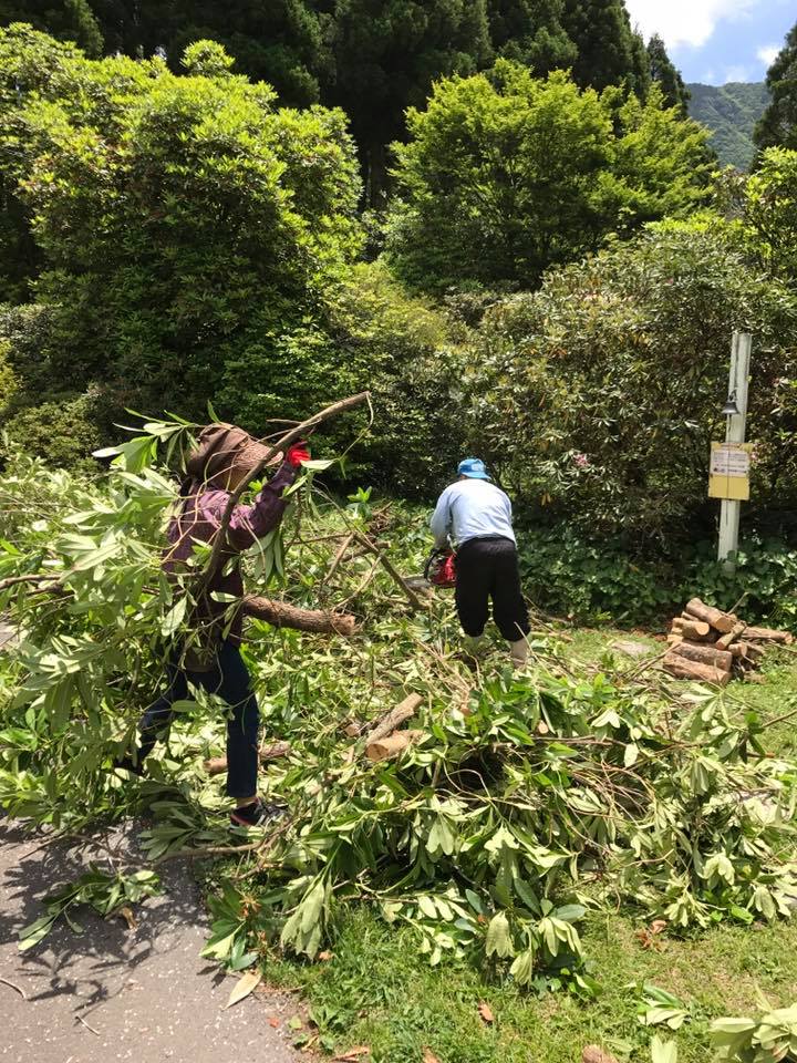 園内の整備作業