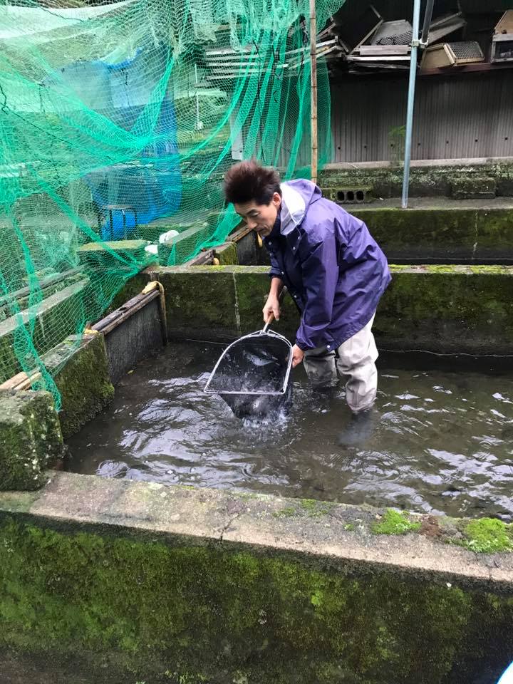 福岡にヤマメ輸送