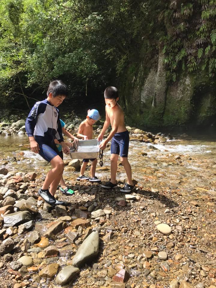 渓流での自然観察会