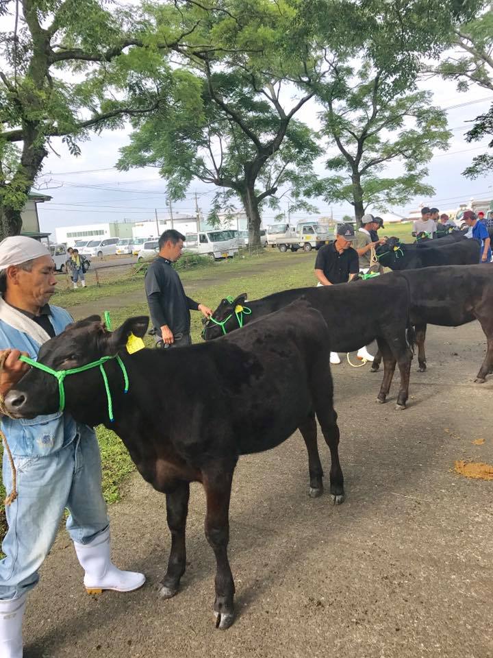 三股町和牛品評会