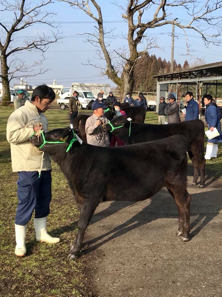 三股町和牛品評会