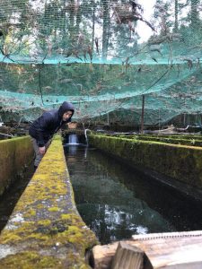 第二養魚場