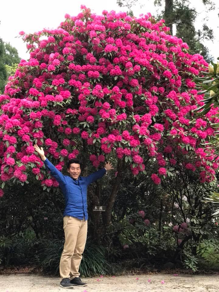 4月5日しゃくなげの森開花情報