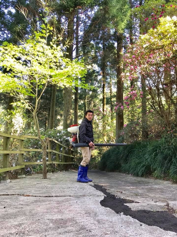 散歩道の掃除と4月8日しゃくなげの森開花情報