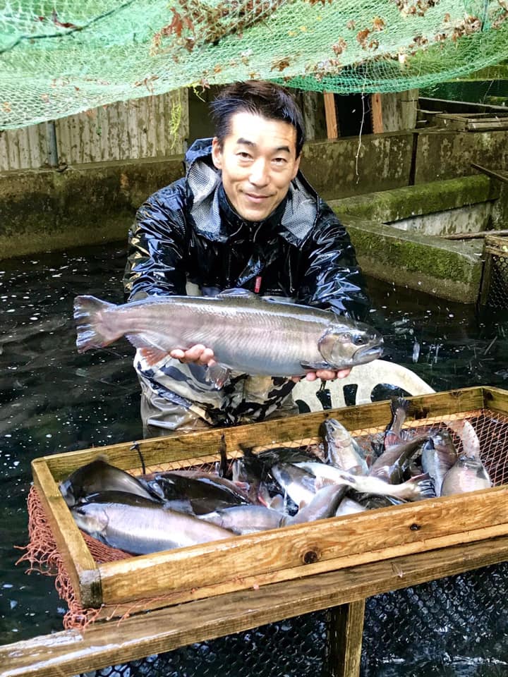 ヤマメの採卵が始まりました